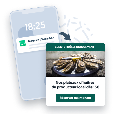 Conversational Commerce - Local Ads